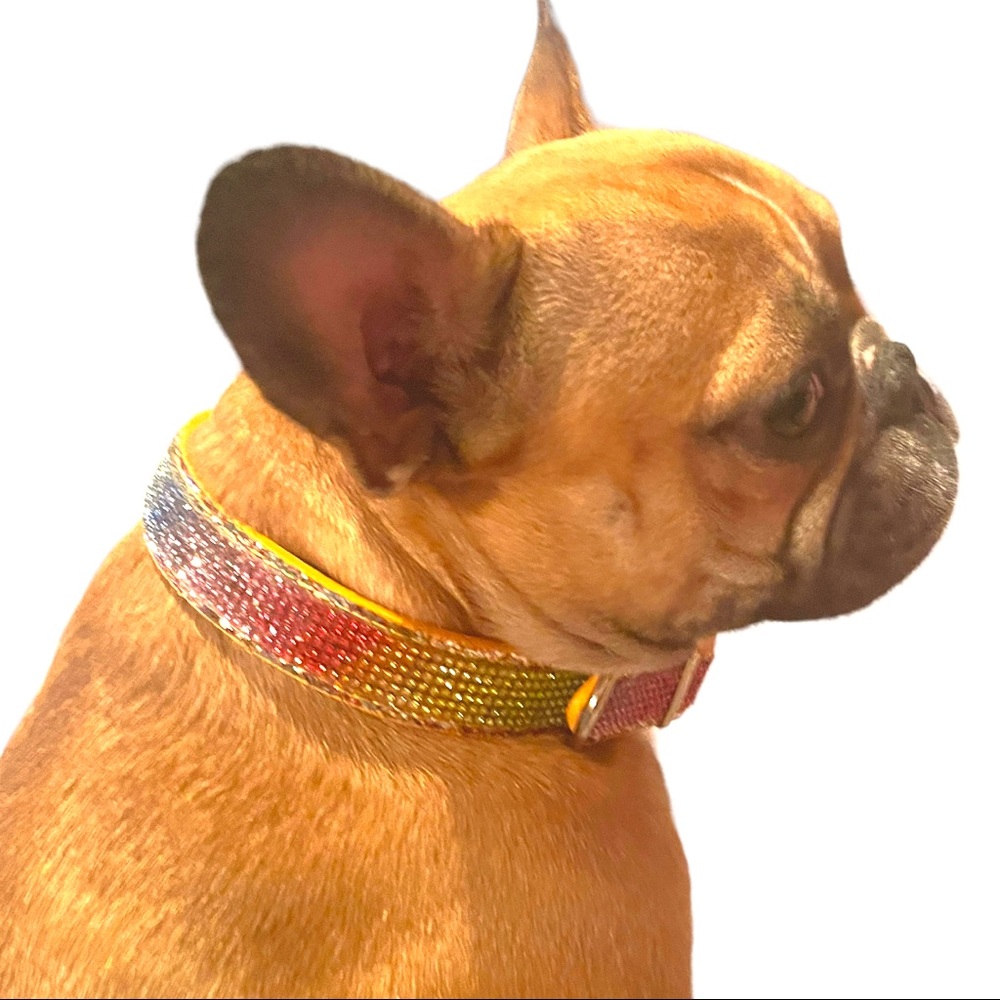 Somewhere Over the Rainbow collar